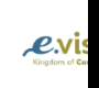 E-Visa