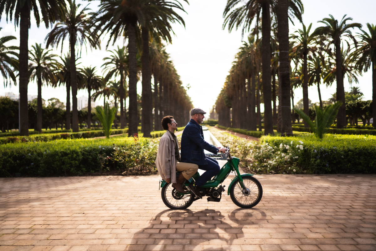 12924palm-travel-&-tours-03.jpg