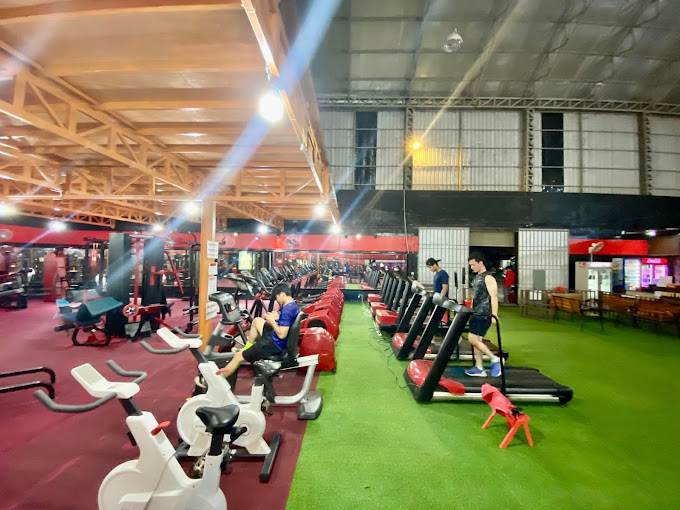 25973mnst-fitness-club-02.jpg