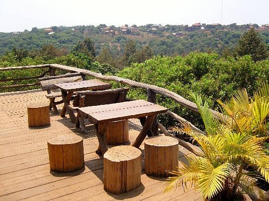32456tree-top-eco-lodge-03.jpg