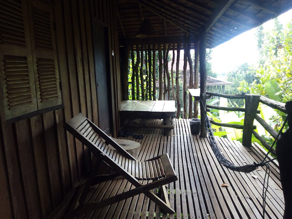 33792tree-top-eco-lodge-04.jpg