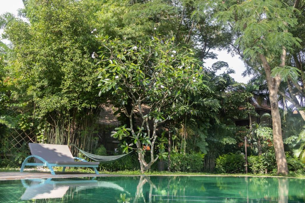 4084through-the-looking-glass-wellness-retreat-resort-03.jpg