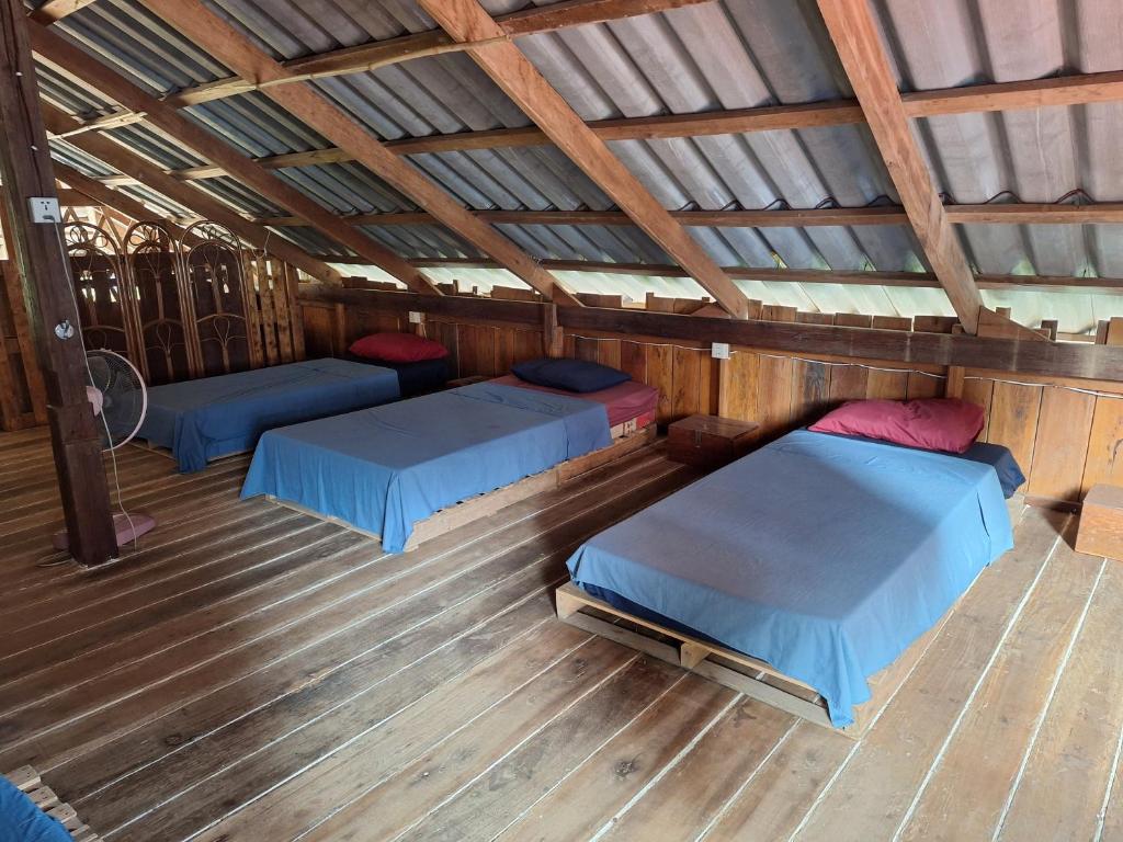 4829dragonfly-guesthouse-03.jpg
