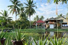 5123cambodian-homestay-02.jpg