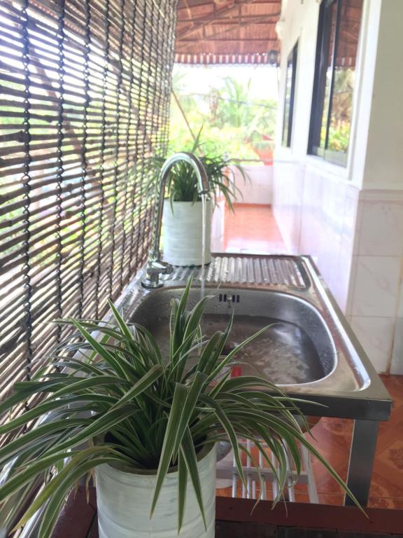 53165eco-home-05.jpg