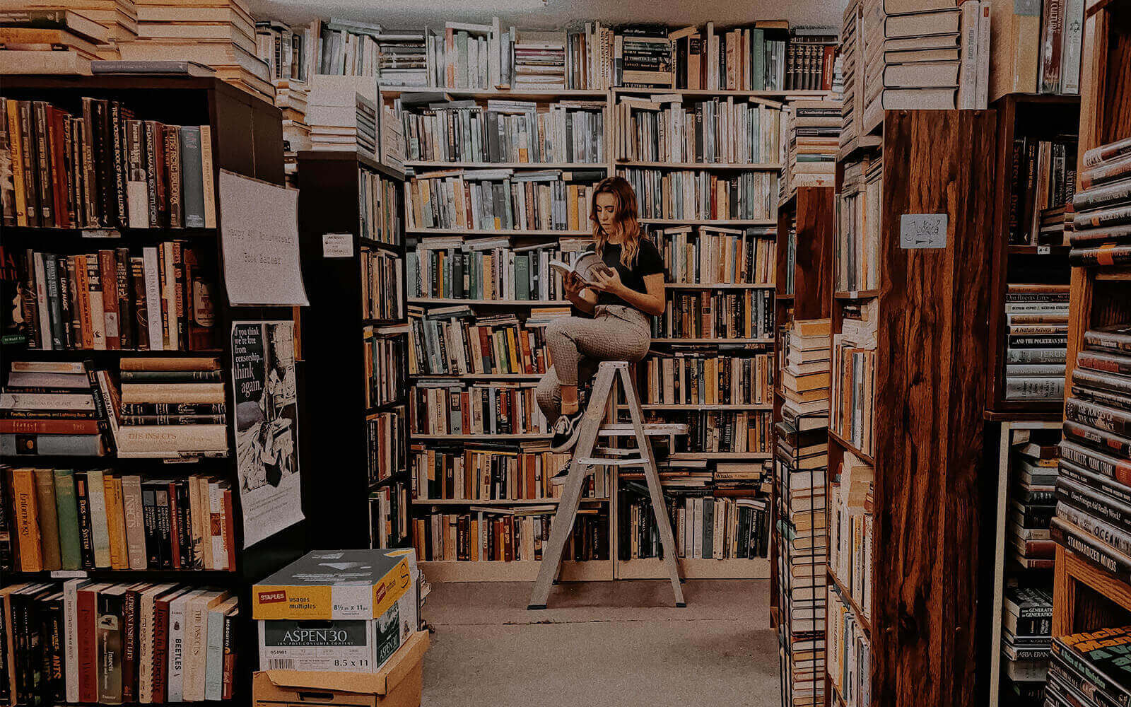 56534the-read-again-bookstore-02.jpg