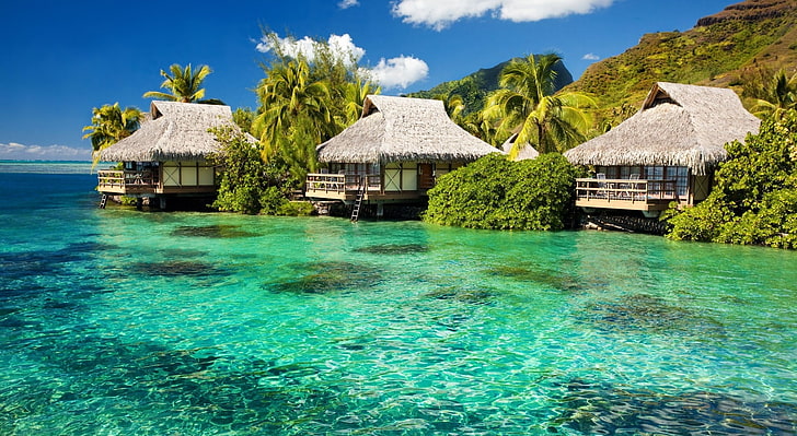 65760natural-bungalows-03.jpg