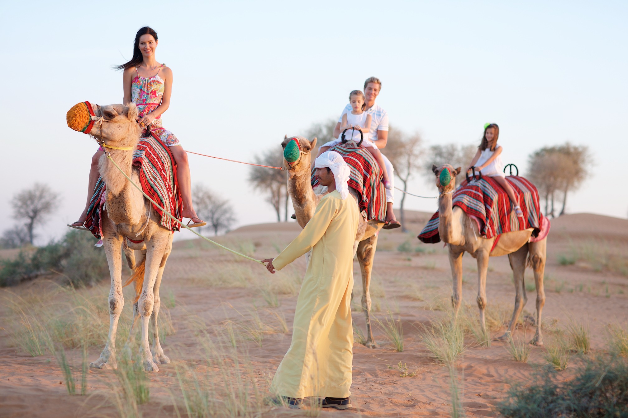 71503palm-travel-&-tours-04.jpg