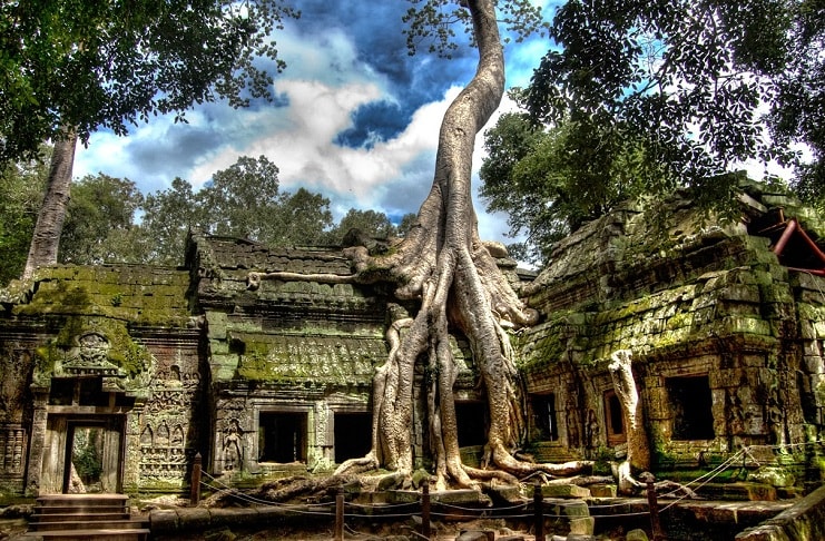 9077ta-prohm-temple.jpeg
